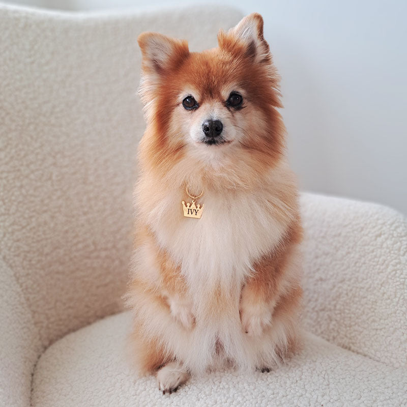 Engraved Crown Dog Tag