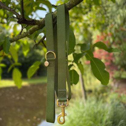 Classic Dog Leash Moss Breeze Olive Green
